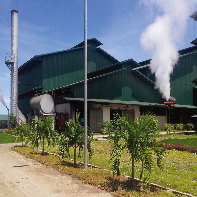 Renewable Energy